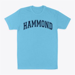 Hammond Elementary School Varsity Arch Classic Dad T-Shirt