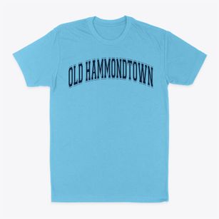 Old Hammondtown Elementary School Varsity Arch Classic Dad T-Shirt