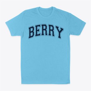 Berry Elementary School Varsity Arch Classic Dad T-Shirt