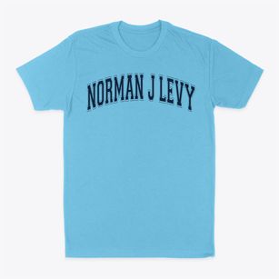 Norman J Levy Lakeside Elementary School Varsity Arch Classic Dad T-Shirt