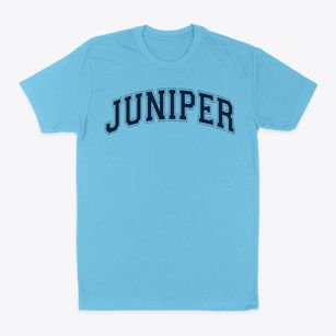 Juniper Elementary School Varsity Arch Classic Dad T-Shirt