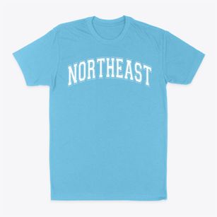 Northeast Elementary School Varsity Arch Classic Dad T-Shirt