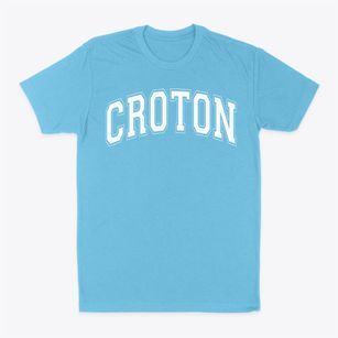 Croton Elementary School Varsity Arch Classic Dad T-Shirt