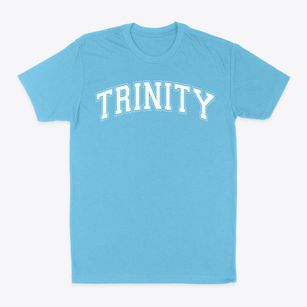 Trinity Christian Academy Varsity Arch Classic Dad T-Shirt