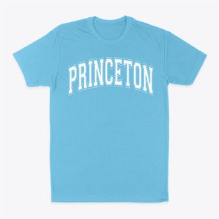Princeton Elementary School Varsity Arch Classic Dad T-Shirt