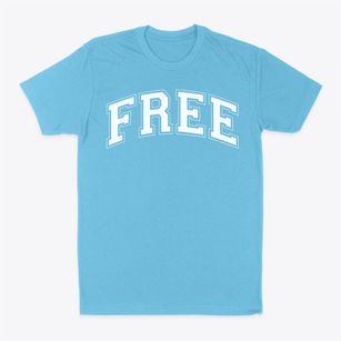 Free School Varsity Arch Classic Dad T-Shirt