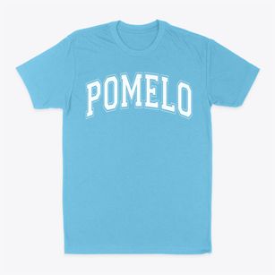 Pomelo Elementary School Varsity Arch Classic Dad T-Shirt
