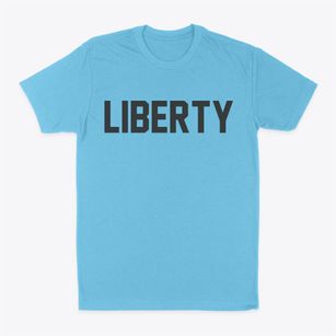 Liberty Utah Classic Block Classic Dad T-Shirt