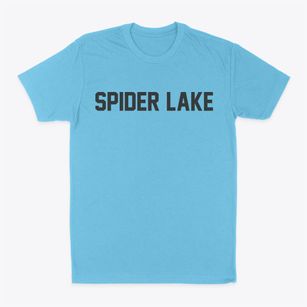 Spider Lake Wisconsin Classic Block Classic Dad T-Shirt