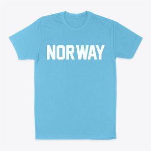 Norway Maine Classic Block Classic Dad T-Shirt