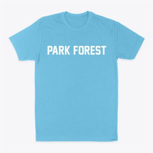 Park Forest Illinois Classic Block Classic Dad T-Shirt