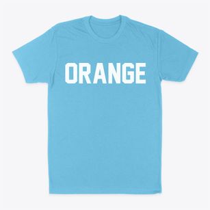 Orange Connecticut Classic Block Classic Dad T-Shirt
