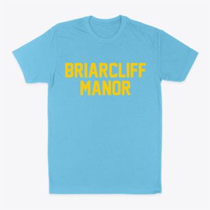 Briarcliff Manor New York Classic Block Classic Dad T-Shirt
