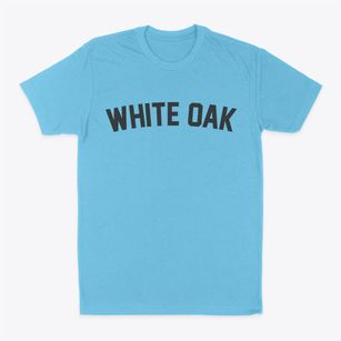 White Oak Texas Classic Curve Classic Dad T-Shirt