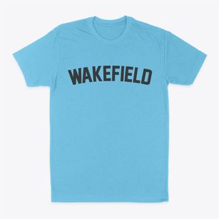 Wakefield New Hampshire Classic Curve Classic Dad T-Shirt