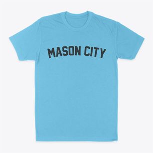 Mason City Illinois Classic Curve Classic Dad T-Shirt
