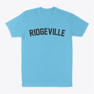 Ridgeville South Carolina Classic Curve Classic Dad T-Shirt