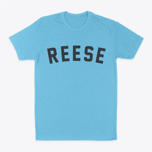 Reese Michigan Classic Curve Classic Dad T-Shirt