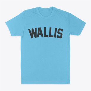 Wallis Texas Classic Curve Classic Dad T-Shirt