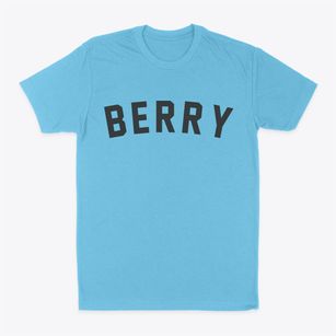 Berry Wisconsin Classic Curve Classic Dad T-Shirt