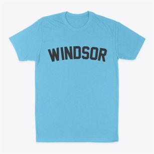 Windsor Massachusetts Classic Curve Classic Dad T-Shirt