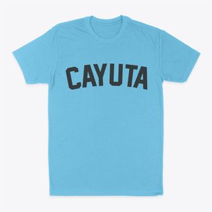Cayuta New York Classic Curve Classic Dad T-Shirt