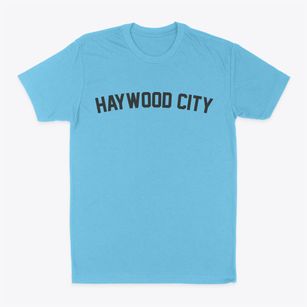 Haywood City Missouri Classic Curve Classic Dad T-Shirt