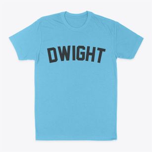 Dwight Nebraska Classic Curve Classic Dad T-Shirt