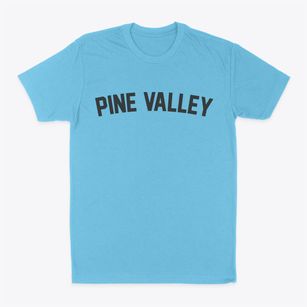 Pine Valley Utah Classic Curve Classic Dad T-Shirt