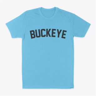 Buckeye Iowa Classic Curve Classic Dad T-Shirt
