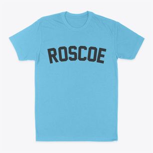 Roscoe Illinois Classic Curve Classic Dad T-Shirt