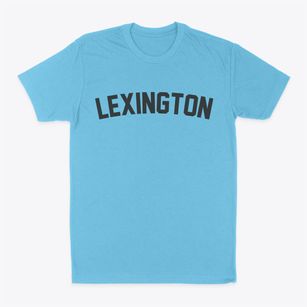Lexington Tennessee Classic Curve Classic Dad T-Shirt