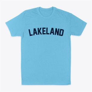 Lakeland New York Classic Curve Classic Dad T-Shirt