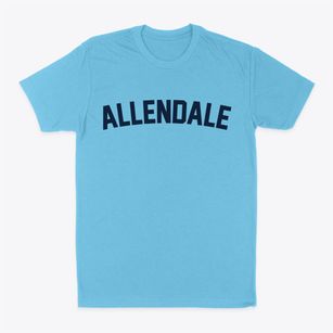 Allendale Illinois Classic Curve Classic Dad T-Shirt