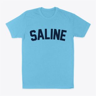 Saline Michigan Classic Curve Classic Dad T-Shirt