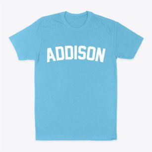 Addison New York Classic Curve Classic Dad T-Shirt