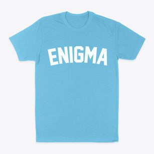 Enigma Georgia Classic Curve Classic Dad T-Shirt