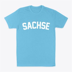 Sachse Texas Classic Curve Classic Dad T-Shirt