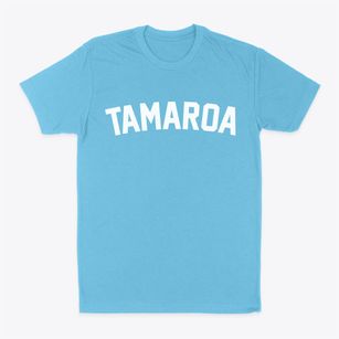 Tamaroa Illinois Classic Curve Classic Dad T-Shirt