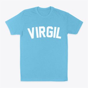 Virgil Illinois Classic Curve Classic Dad T-Shirt