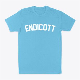 Endicott New York Classic Curve Classic Dad T-Shirt