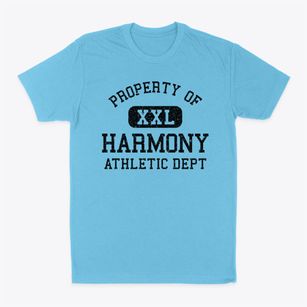 Harmony Rhode Island Athletic Dept Classic Dad T-Shirt