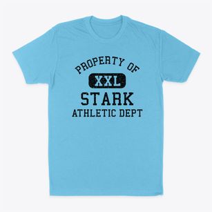 Stark New Hampshire Athletic Dept Classic Dad T-Shirt