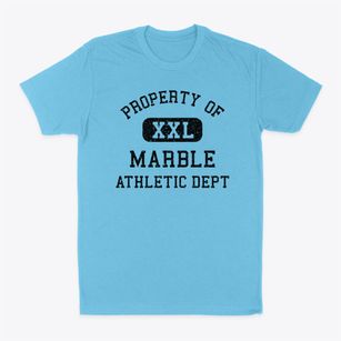 Marble North Carolina Athletic Dept Classic Dad T-Shirt
