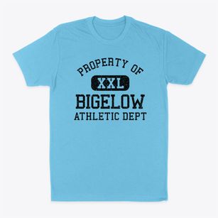 Bigelow Minnesota Athletic Dept Classic Dad T-Shirt