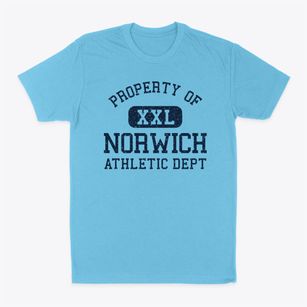 Norwich New York Athletic Dept Classic Dad T-Shirt