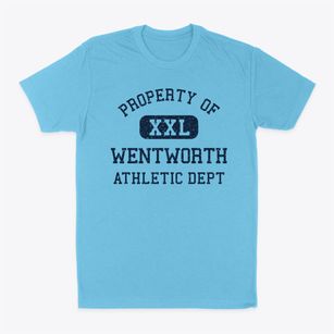 Wentworth New Hampshire Athletic Dept Classic Dad T-Shirt