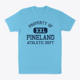 Pineland Florida Athletic Dept Classic Dad T-Shirt