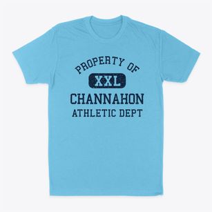 Channahon Illinois Athletic Dept Classic Dad T-Shirt