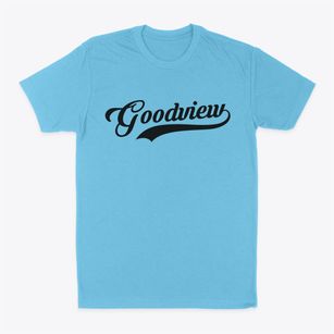 Goodview Minnesota Vintage Team Classic Dad T-Shirt